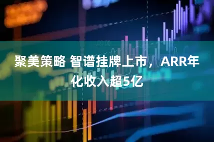 聚美策略 智谱挂牌上市，ARR年化收入超5亿