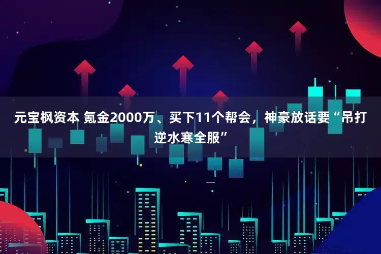 元宝枫资本 氪金2000万、买下11个帮会，神豪放话要“吊打逆水寒全服”
